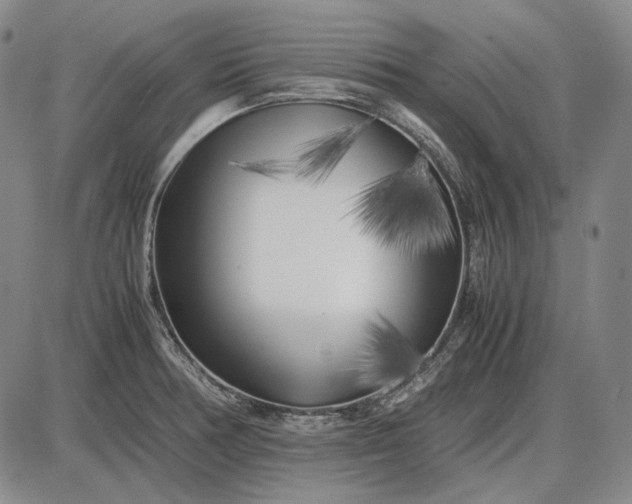 X0000085831378200703301608