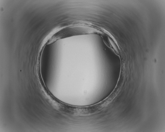 X0000085831379200703301608