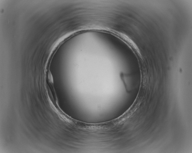 X0000085831380200703301608