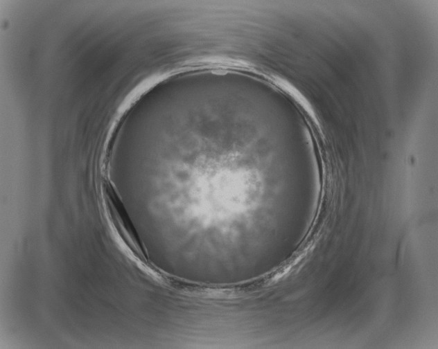 X0000085831381200703301608