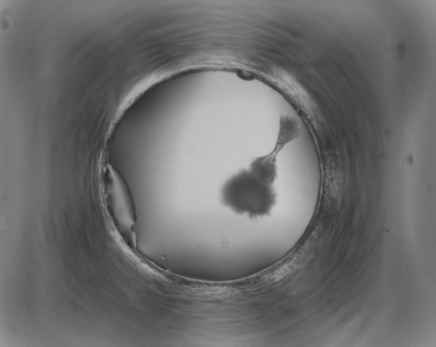 X0000085831382200703301608