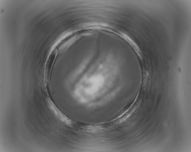 X0000085831384200703301608