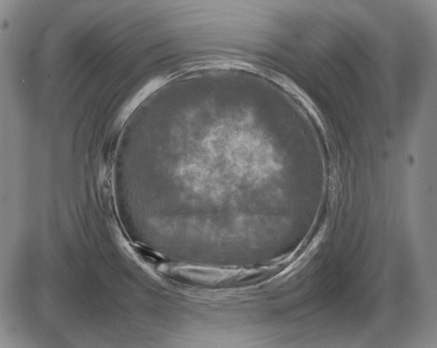 X0000085831385200703301608