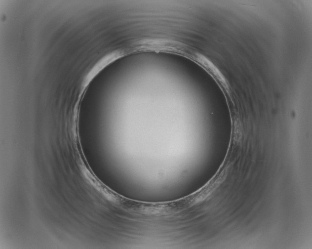 X0000085831386200703301608