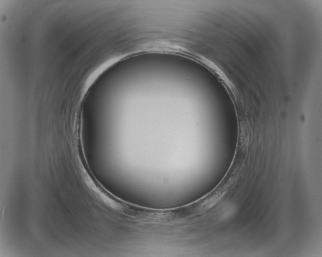 X0000085831387200703301608