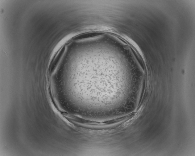 X0000085831389200703301608