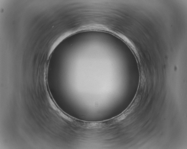 X0000085831390200703301608