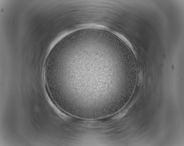 X0000085831391200703301608