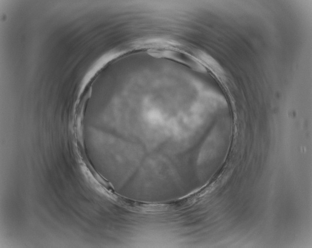 X0000085831392200703301608