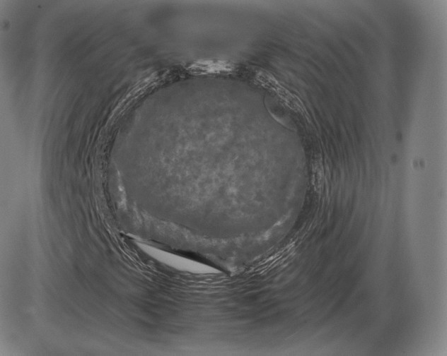 X0000085831393200703301607