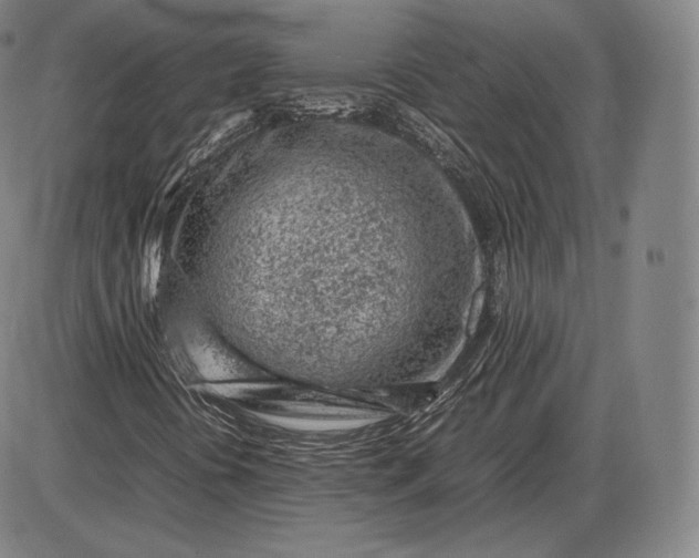 X0000085831394200703301607