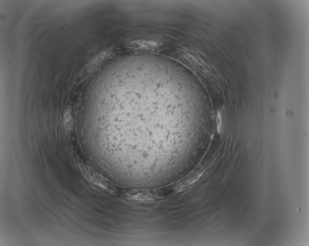 X0000085831395200703301607