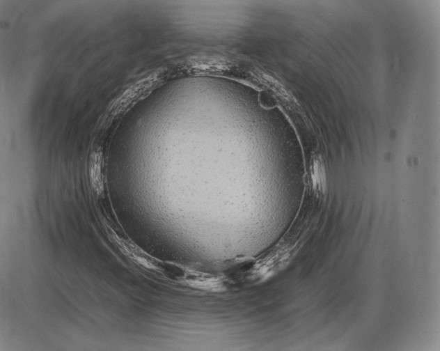 X0000085831396200703301607