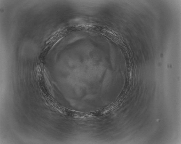 X0000085831397200703301607