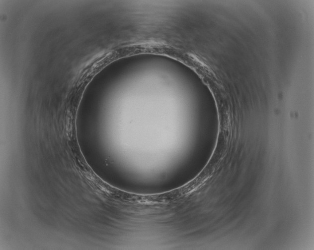 X0000085831398200703301607