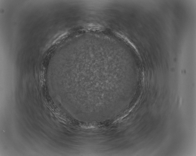 X0000085831399200703301607