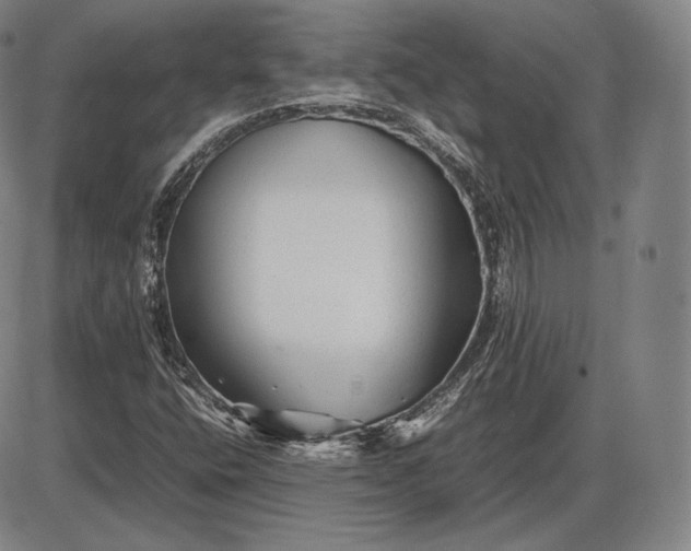 X0000085831400200703301607