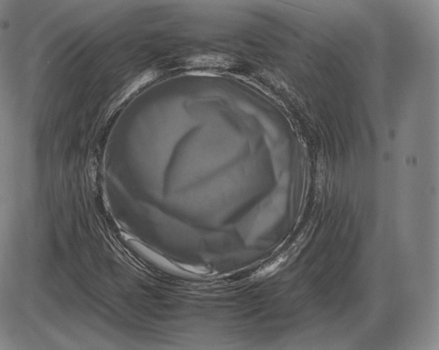 X0000085831401200703301607