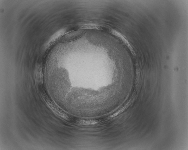 X0000085831403200703301607