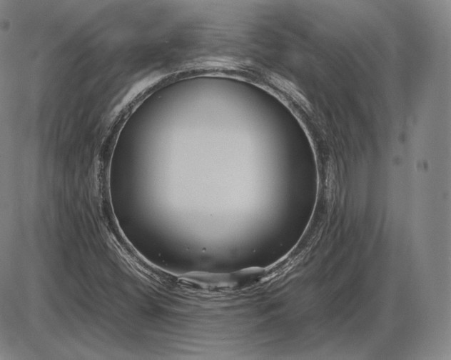 X0000085831404200703301607