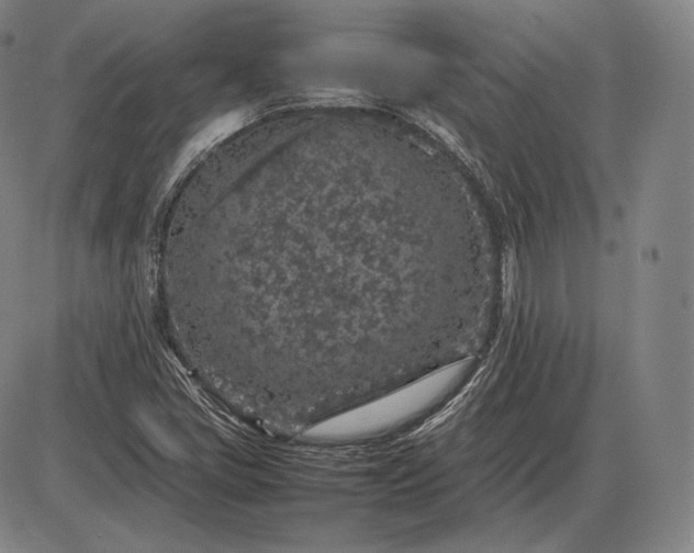 X0000085831405200703301607