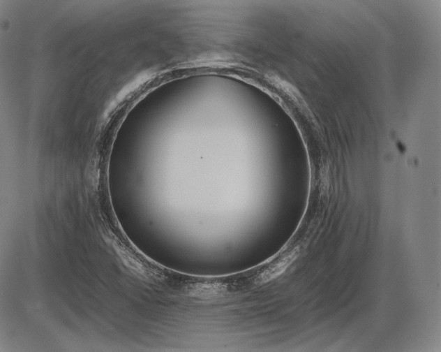 X0000085831406200703301607