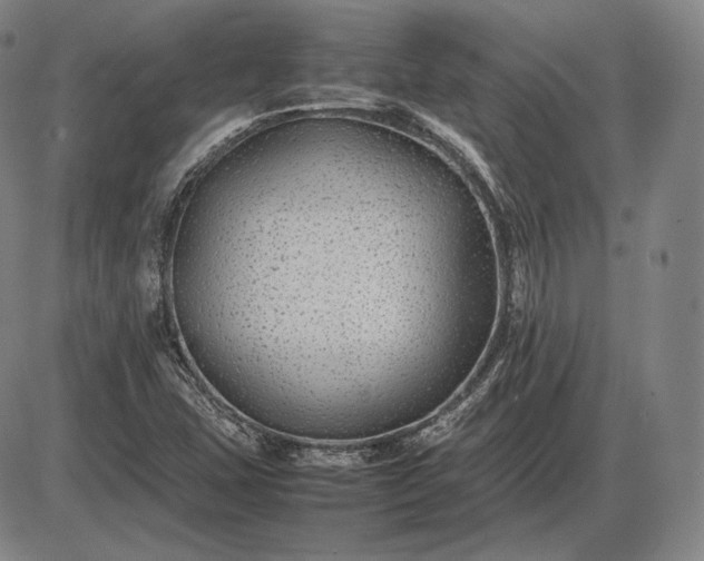 X0000085831407200703301607