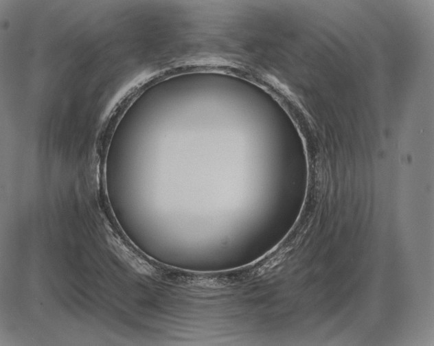 X0000085831408200703301607