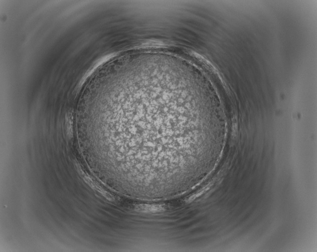 X0000085831409200703301607