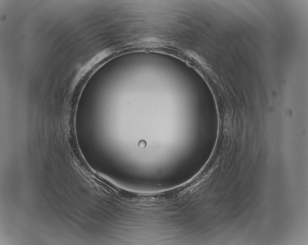 X0000085831410200703301607