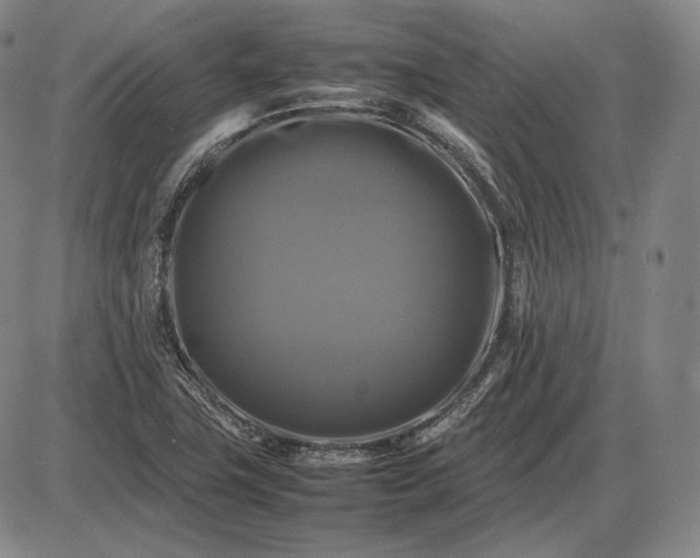 X0000085831411200703301607