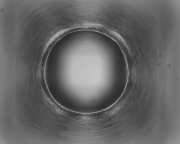 X0000085831412200703301607