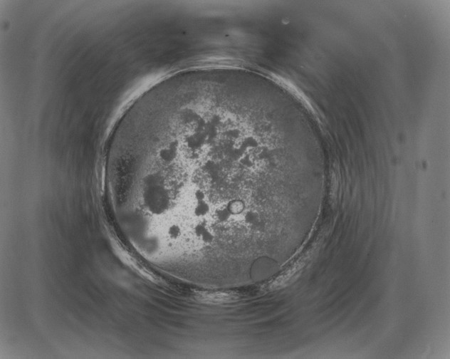 X0000085831413200703301607