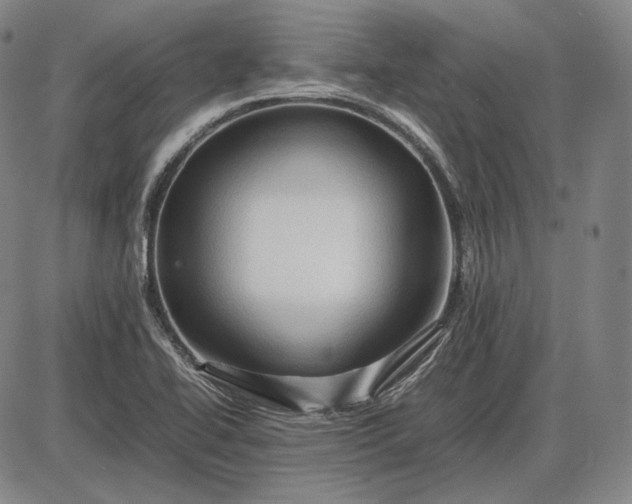 X0000085831414200703301607