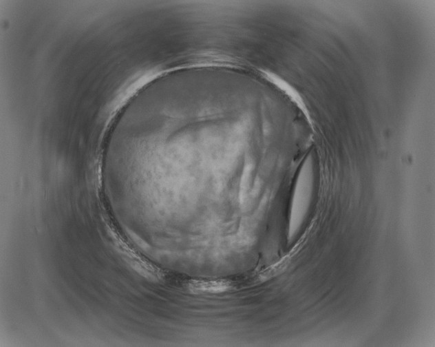 X0000085831415200703301607