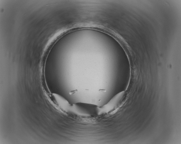 X0000085831416200703301607