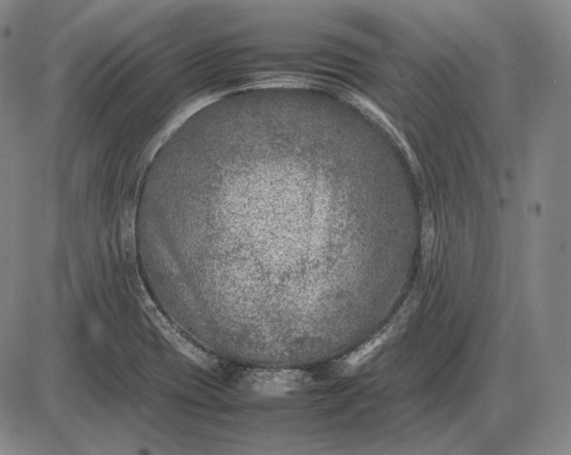 X0000085831417200703301607