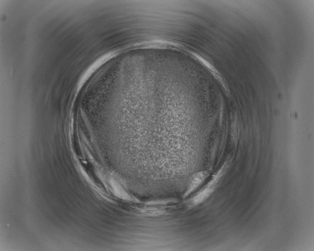 X0000085831418200703301607