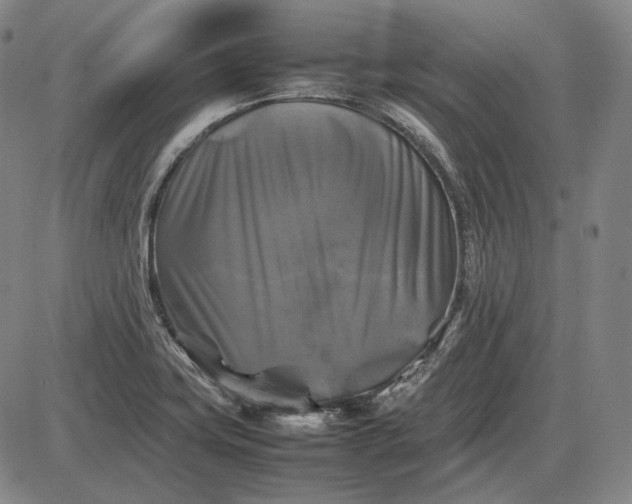 X0000085831419200703301607