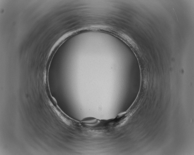 X0000085831420200703301607