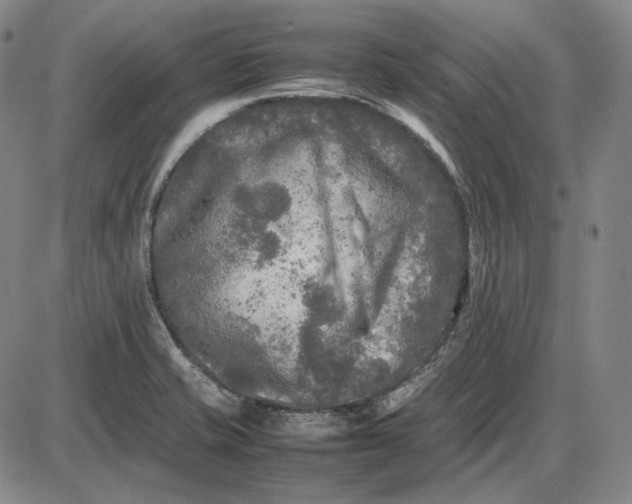 X0000085831421200703301607