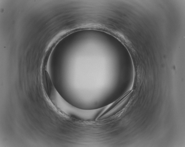 X0000085831422200703301607