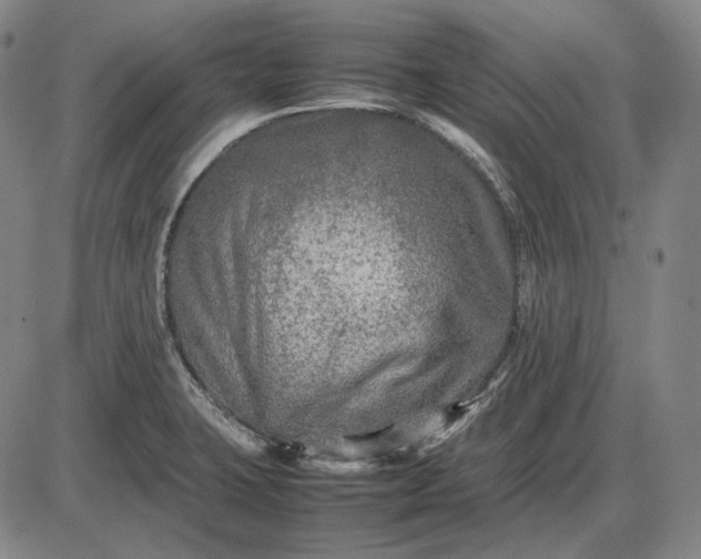 X0000085831423200703301608