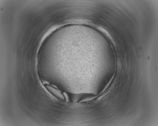 X0000085831424200703301608