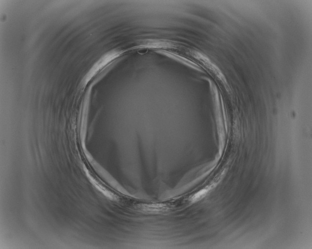 X0000085831425200703301608