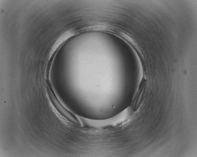 X0000085831426200703301608