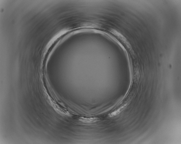 X0000085831427200703301608