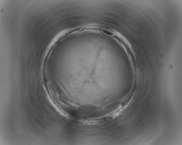 X0000085831429200703301608