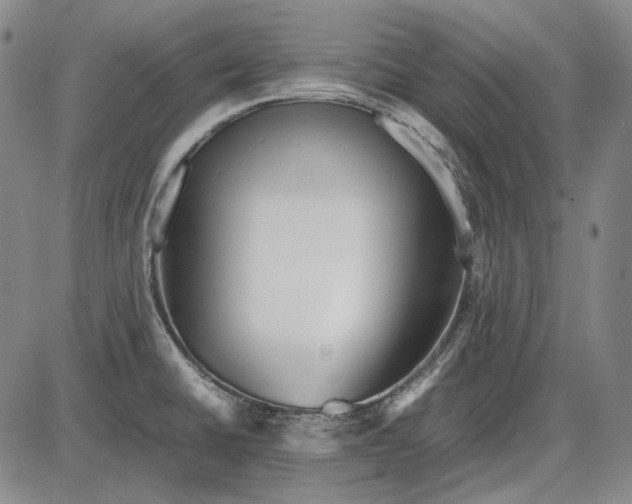 X0000085831430200703301608