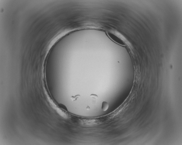 X0000085831431200703301608